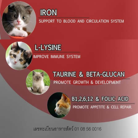 อาหารเสริม สำหรับแมว ไอโรซีนแคท เจลบำรุงเลือด 30 กรัม_2